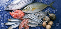 海產(chǎn)品的營(yíng)養(yǎng)價(jià)值與保健作用
